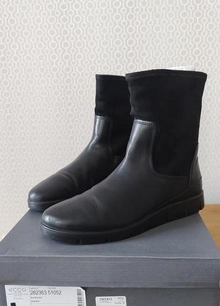 Ecco bella
черевики