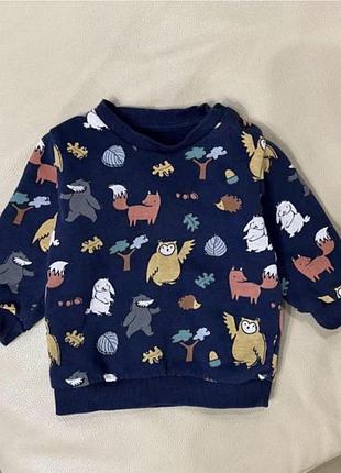 Світшот в лісовий принт 3-6 міс ріст  68, стан відмінний.,утеплений