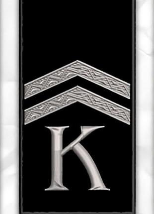 #5024 погон полиции «курсант капрал» 10х5 см