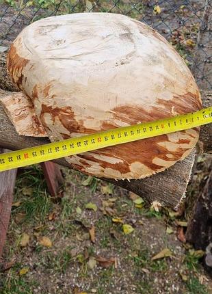 Сувель березовый