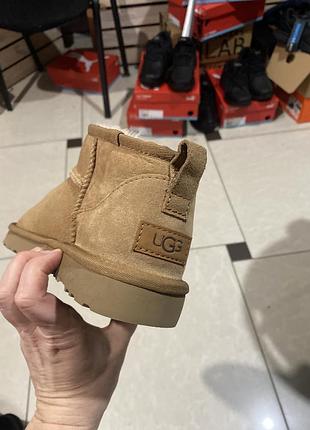 Ugg оригінал