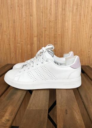 Кросівки adidas advantage premium 2
