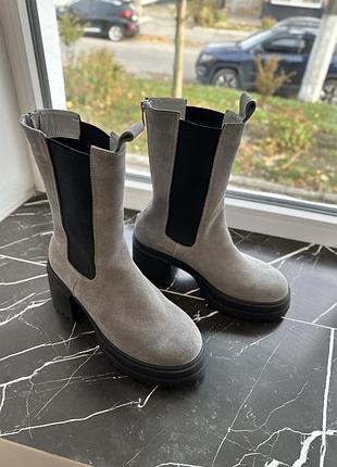 Челсі в сірій замші