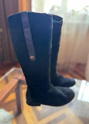 Женские сапоги Tommy hilfiger, 38 размер