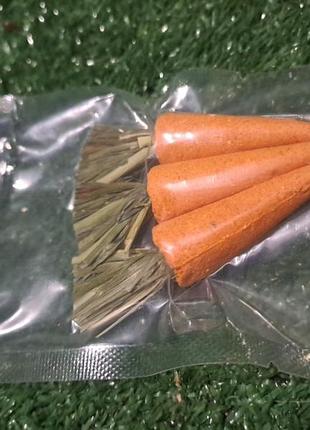Морковка погризун для гризуна
