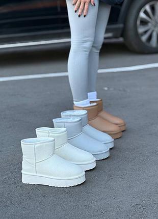 Черевики кожа