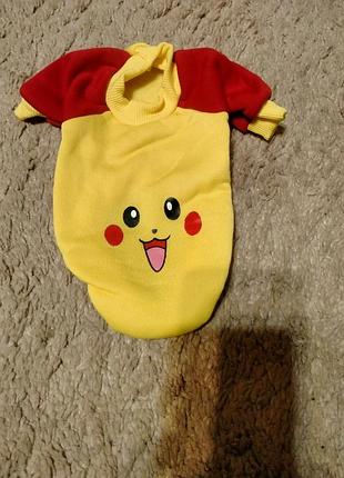 Одяг для собак.