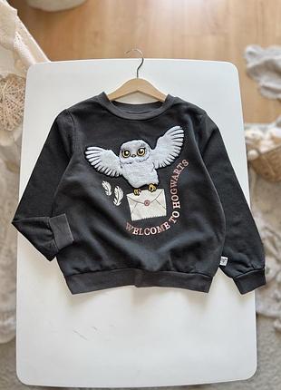 Утеплений графітовий світшот з совою з гаррі поттера