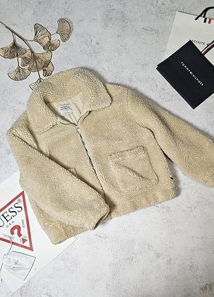 Куртка теди, шубка теди