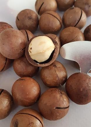 Орех макадамия в скорлупе  500 грамм