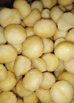 Орех макадамия очищенный 1кг.