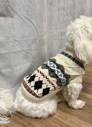 Свитер для собаки или кота