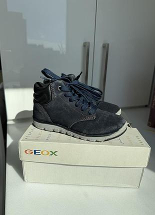 Демі ботинки на хлопчика geox