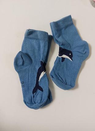 Комплект брендовые носки 2 пары размер 19-22