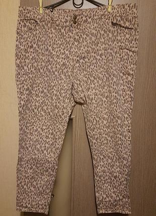 Леопардовые коттоновые джинсы женские