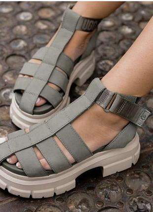 Жіноча, оригінальні нубукові сандалі ugg ashton strappy