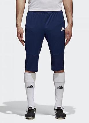 Спортивні шорти, бріджи