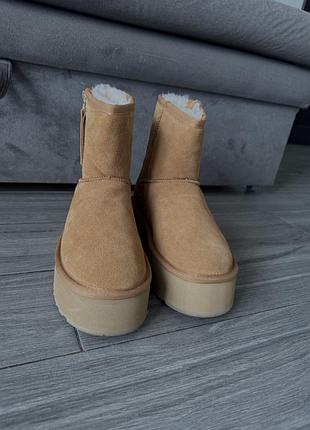 Угг агг уггі чобітки сапожки валянки жіночі замша