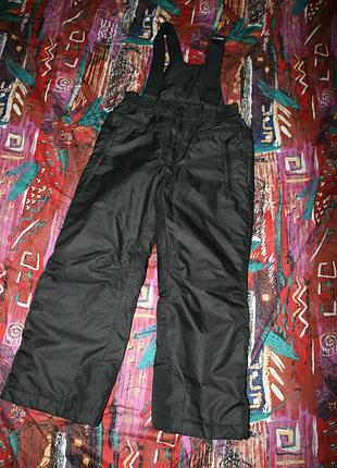 Зимние брюки alpine pro