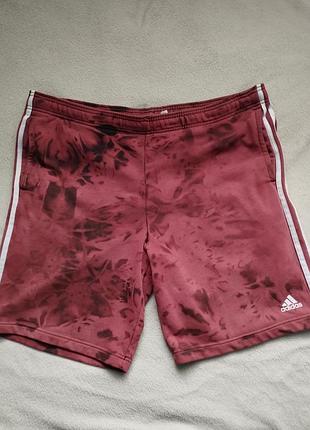 Шорти чоловічі