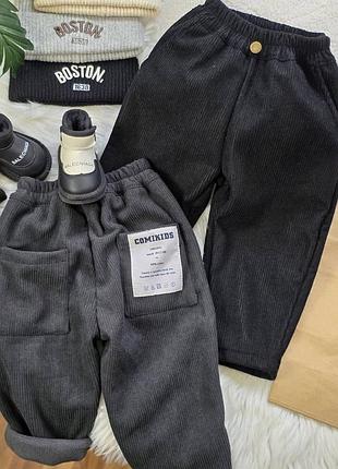 Теплі штани на хлопчика