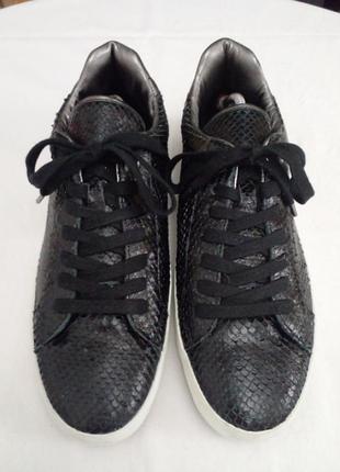 Спортивные туфли кеды кожа