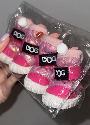 Одяг для маленьких собачок цуциків кошенят xs s