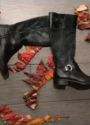 Брендовые кожаные высокие сапоги сапоги timeberland
