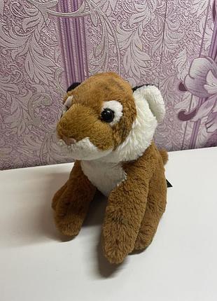 Маленький тигр 🐯