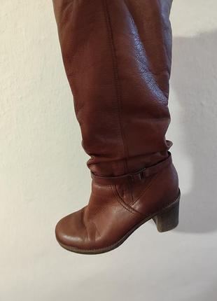 Зимние боты