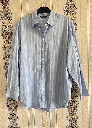 Стильна легка коттонова сорочка, блакитна з білим рубашка батал