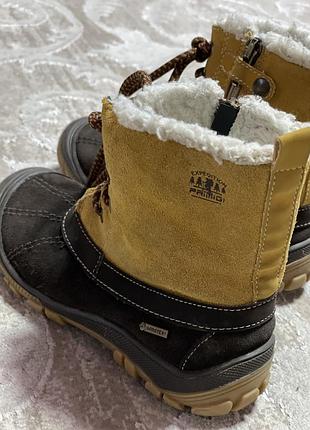 Чобітки зимові