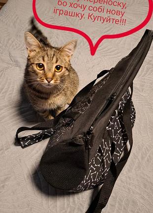 Сумка-переноска для котів та собак, 37х30х23см