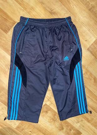 Мужские бриджи adidas p.m