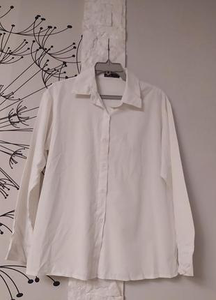 Рубашка прикольна