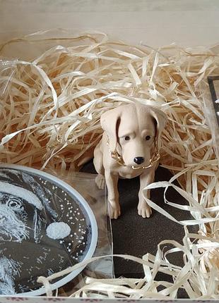 Подарунковий набір