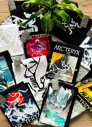 Футболка arcteryx mountain lake