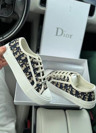 Кеди в кольорах