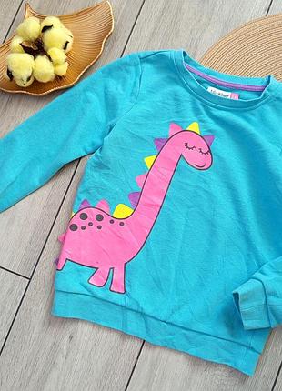 Світшот, кофта