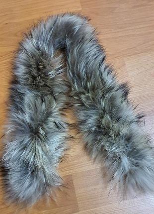 Хутро облямівка комір єнот