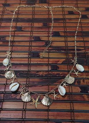 Колье ракушки морское 3