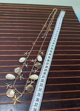 Колье ракушки морское 2