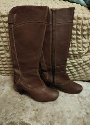 Женские кожаные сапоги clarks