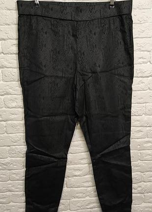 Фірмові лосини