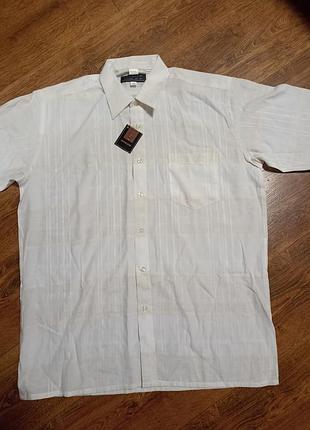 Тенниска мужская