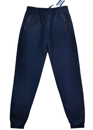 Штани спортивні утеплені чоловічі під манжет 48,50,52,54,56,58 синій