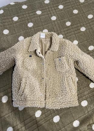 Теді куртка