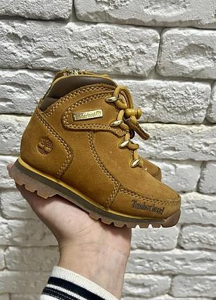 Черевики дитячі timberland