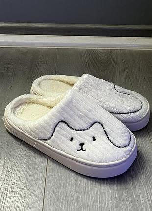 Домашні капці, капці