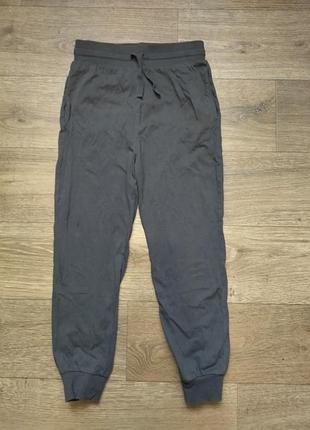 Спортивні штани бавовна, без начесу